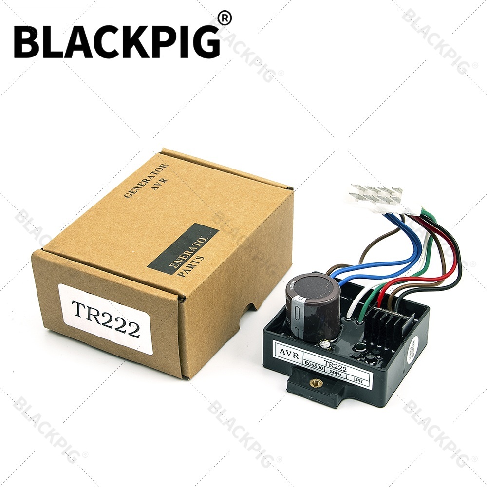 TR222 EG2500 AVR Automatic Vol - đánh giá và giá Cycloidal Reducer Bldc Motor